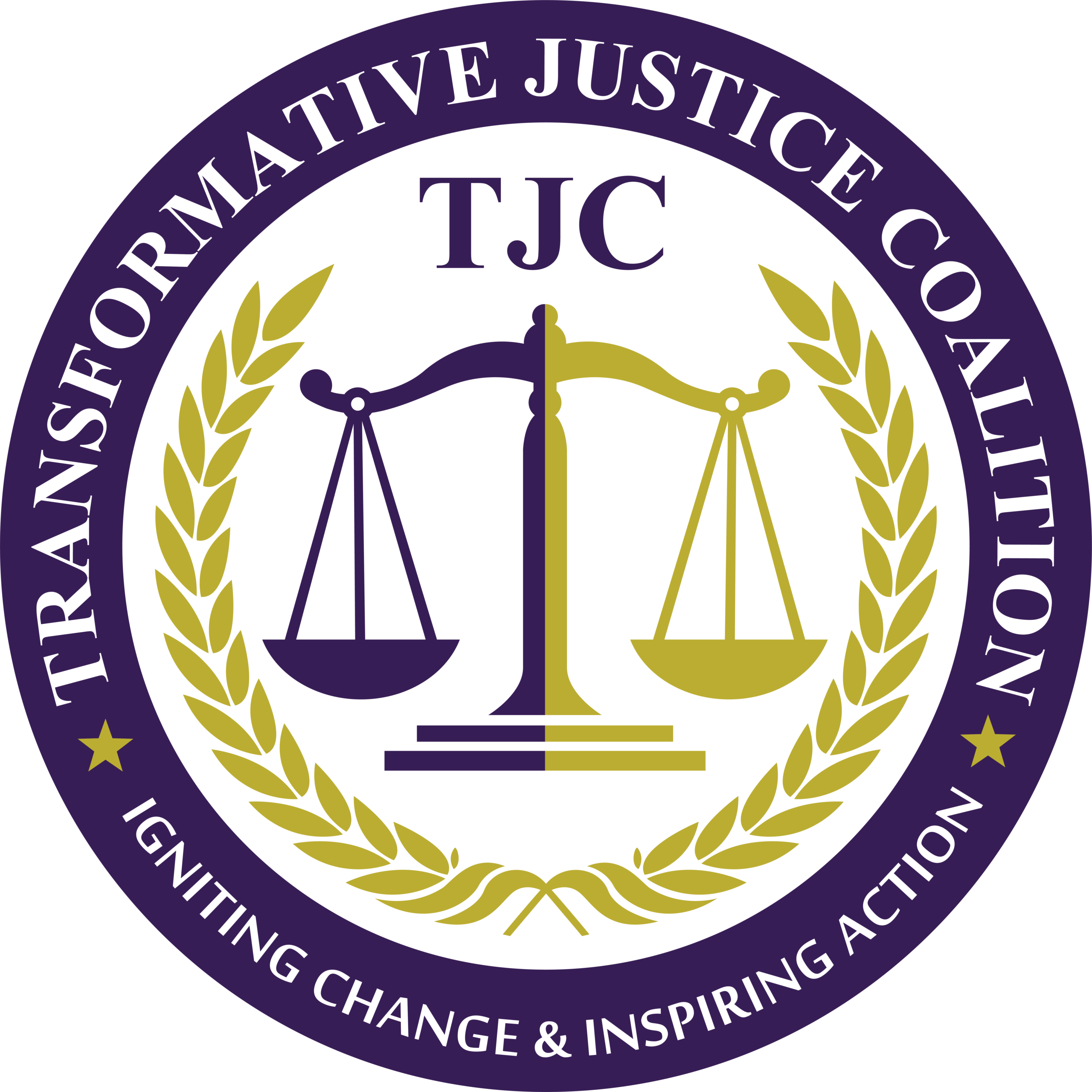 Transformative Justice Coalition